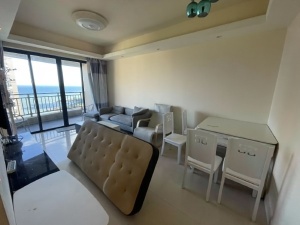 碧桂园十里银滩棕榈滩 2室2厅 67㎡ 整租_惠州惠东县惠东度假区租房图片