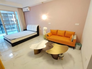 金河湾1881 1室1厅 40㎡ 整租衡阳蒸湘区区政府北租房图片