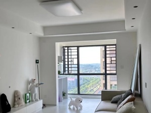 美的梧桐庄园 3室2厅 90㎡ 整租衡阳珠晖区酃湖万达广场租房图片