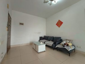 彩云居 3室2厅 75㎡ 整租中山石岐街道市人大租房图片