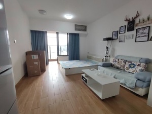 宝晟公馆 1室1厅 38.9㎡ 整租_惠州惠城区龙丰租房图片