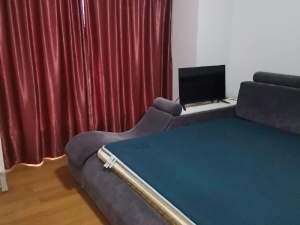 TPARK时尚公园 2室1厅 63㎡ 整租_惠州仲恺仲恺租房图片