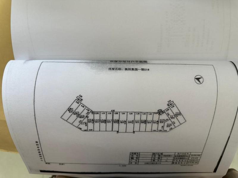衡阳市石鼓区华源支路19号奥园一期S1#栋115室法拍房图片3