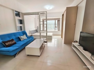 嘉珠时代广场 1室1厅 42.67㎡ 精装珠海金湾区三灶镇二手房图片