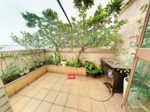 格林美域 8室3厅 164.43㎡ 精装_中山横栏镇横栏镇二手房图片