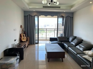 华盈东城美域 3室2厅 112.09㎡ 精装中山东区街道沙岗墟二手房图片