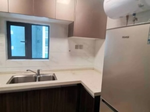 碧桂园太东天樾湾 3室2厅 90㎡ 整租_惠州大亚湾中心区租房图片