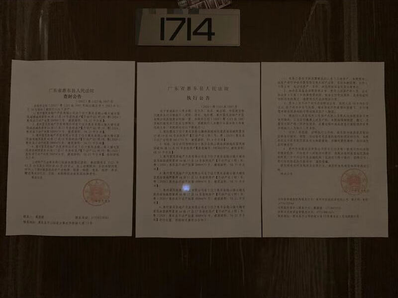 惠东县稔山镇大埔屯富茂海滨城熙景湾A6栋17层14号房法拍房图片1