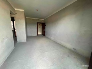 板芙纯水岸 3室2厅 88.9㎡ 毛坯_中山板芙镇板芙镇二手房图片