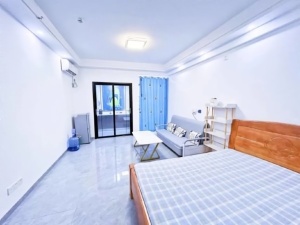 中伟盈丰国际 1室1厅 45㎡ 整租郴州北湖区龙泉租房图片