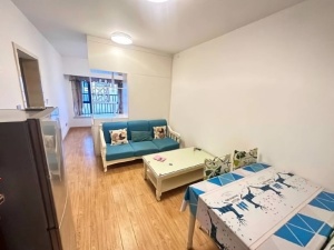 宝晟公馆 1室1厅 43㎡ 整租_惠州惠城区龙丰租房图片