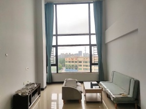 东尚新地 1室2厅 52.6㎡ 整租中山东区街道沙岗墟租房图片