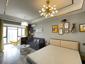 金河湾1881 1室1厅 50㎡ 整租衡阳蒸湘区区政府北租房图片