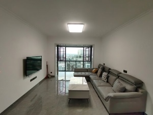 金色蓝庭 3室2厅 101㎡ 整租衡阳珠晖区苗圃租房图片