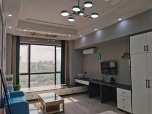 五岭国际芙蓉园 1室1厅 52㎡ 整租郴州北湖区五岭租房图片