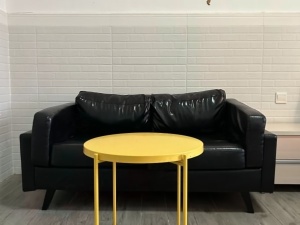 蓝钻星座国际公寓 1室0厅 48㎡ 整租_中山东区街道库充租房图片