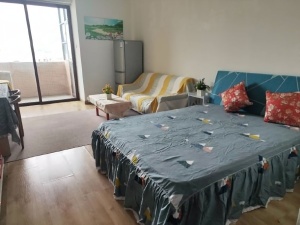 蓝钻星座国际公寓 1室1厅 46㎡ 整租_中山东区街道库充租房图片