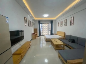 五岭国际芙蓉园 1室1厅 50㎡ 整租郴州北湖区五岭租房图片