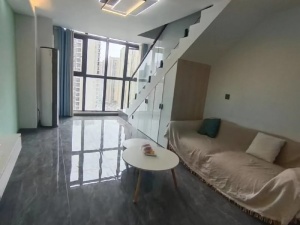 星美新外滩 2室1厅 100㎡ 整租衡阳蒸湘区区政府北租房图片