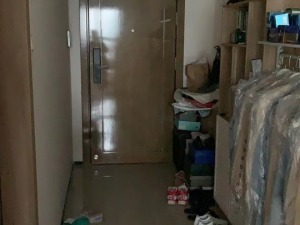 湖南省衡阳市蒸湘区采霞街10号衡阳·恒大绿洲酒店式公寓楼2528室房屋_衡阳法拍房图片