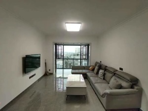 金色蓝庭 3室2厅 120㎡ 整租衡阳珠晖区苗圃租房图片