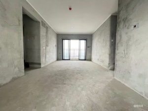 远洋君域 3室2厅 100㎡ 毛坯_中山东升镇东升镇政府二手房图片