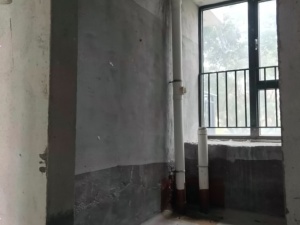 碧水岸 3室2厅 125.17㎡ 毛坯珠海斗门区井岸镇二手房图片