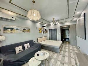 金河湾1881 1室1厅 50㎡ 整租_衡阳蒸湘区区政府北租房图片