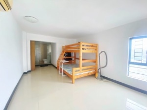 东尚新地 2室1厅 55㎡ 整租中山东区街道沙岗墟租房图片