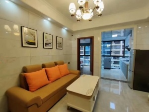 金河湾1881 1室1厅 45㎡ 整租衡阳蒸湘区区政府北租房图片