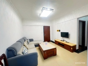 假日名城尚都 2室2厅 66.16㎡ 精装_惠州博罗县园洲二手房图片