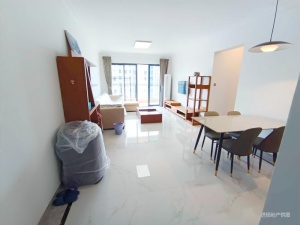 碧桂园太东天樾湾 3室2厅 106.49㎡ 精装惠州大亚湾中心区二手房图片