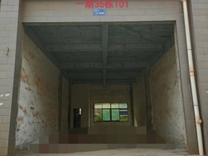 宜章县玉溪镇马耳冲小区一期36栋101号商业门面_郴州法拍房图片