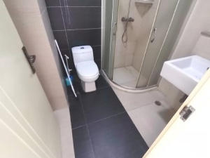 蓝钻星座国际公寓 1室1厅 50㎡ 整租_中山东区街道库充租房图片