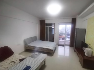 金典水岸 1室1厅 43㎡ 整租_惠州惠城区东江新城租房图片