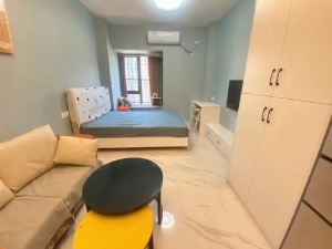 佳源酃湖都市 1室1厅 43㎡ 整租衡阳珠晖区酃湖万达广场租房图片