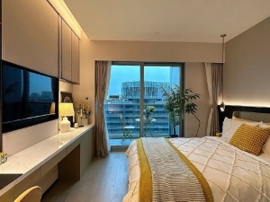 民俗文化广场 1室1厅 45㎡ 整租衡阳雁峰区岳屏公园租房图片