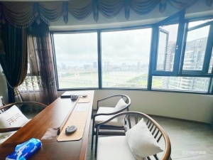 中信红树湾南区 5室2厅 217㎡ 精装珠海香洲区南湾二手房图片