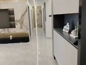 恒隆国际 4室2厅 143㎡ 精装_恒隆国际二手房视频图片1