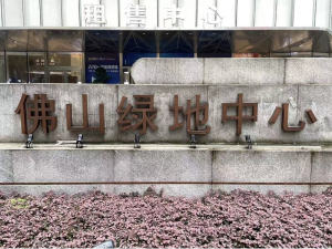 佛山市禅城区季华六路17号佛山绿地中心一座1107室 建筑面积246.74㎡佛山法拍房图片