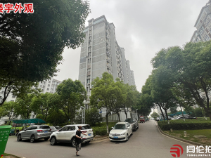 南京市江宁区禄口街道永欣大道3号永欣新寓海棠苑32幢206室_南京法拍房图片