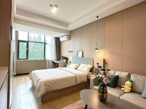 星美新外滩 1室1厅 50㎡ 整租衡阳蒸湘区区政府北租房图片