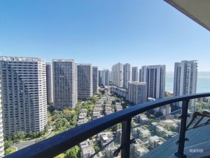 碧桂园十里银滩梵高的海 1室1厅 45.98㎡ 精装_惠州大亚湾霞涌二手房图片