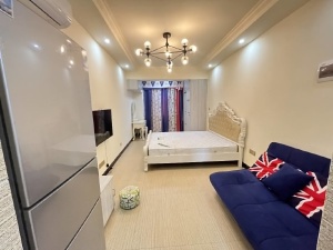 新贵华城三期B区 1室1厅 45㎡ 整租郴州北湖区龙泉租房图片