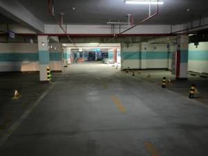 中山市港口镇港福路25号星港城市名都1-13幢地下车库681号小车位的房地产_中山法拍房图片