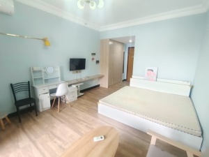 正和中州 1室1厅 41.2㎡ 整租中山石岐街道第一城小学租房图片