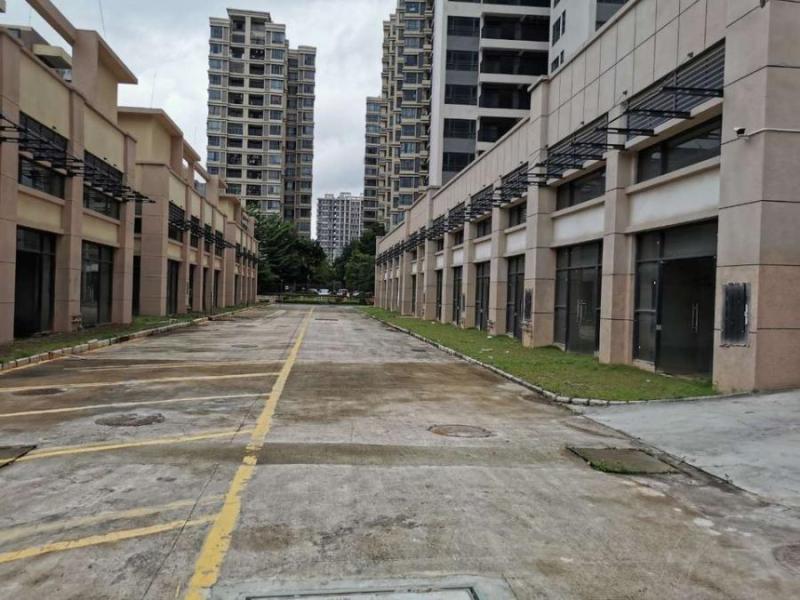 中山市三角镇旭日盛世园3幢304房的房地产法拍房图片4