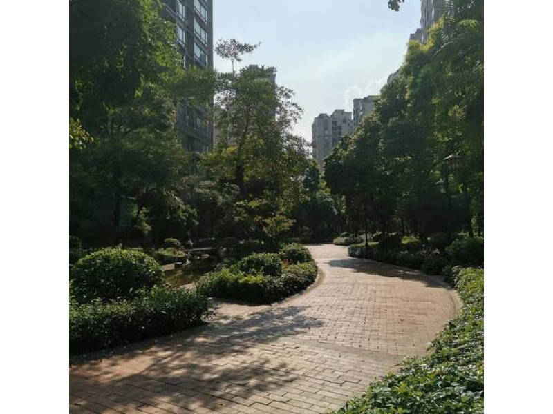 中山市东升镇丽景路1号丽景名筑19-21座地下车库D1882号摩托车位的房地产法拍房图片8