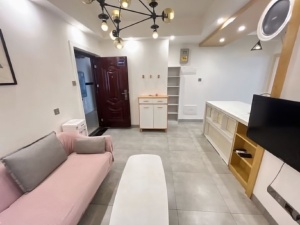 新贵华城三期B区 1室1厅 50㎡ 整租郴州北湖区龙泉租房图片