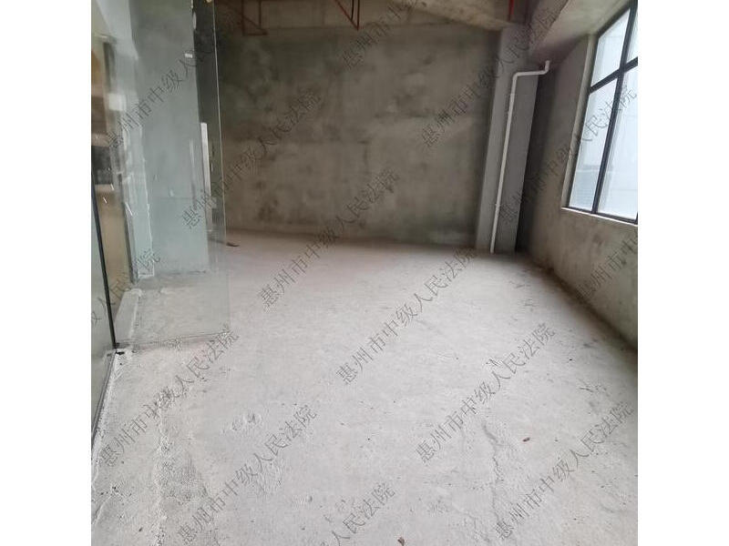 惠州仲恺高新区沥林镇智慧大道1号凤凰国际商务中心4#、5#楼2层22号法拍房图片3